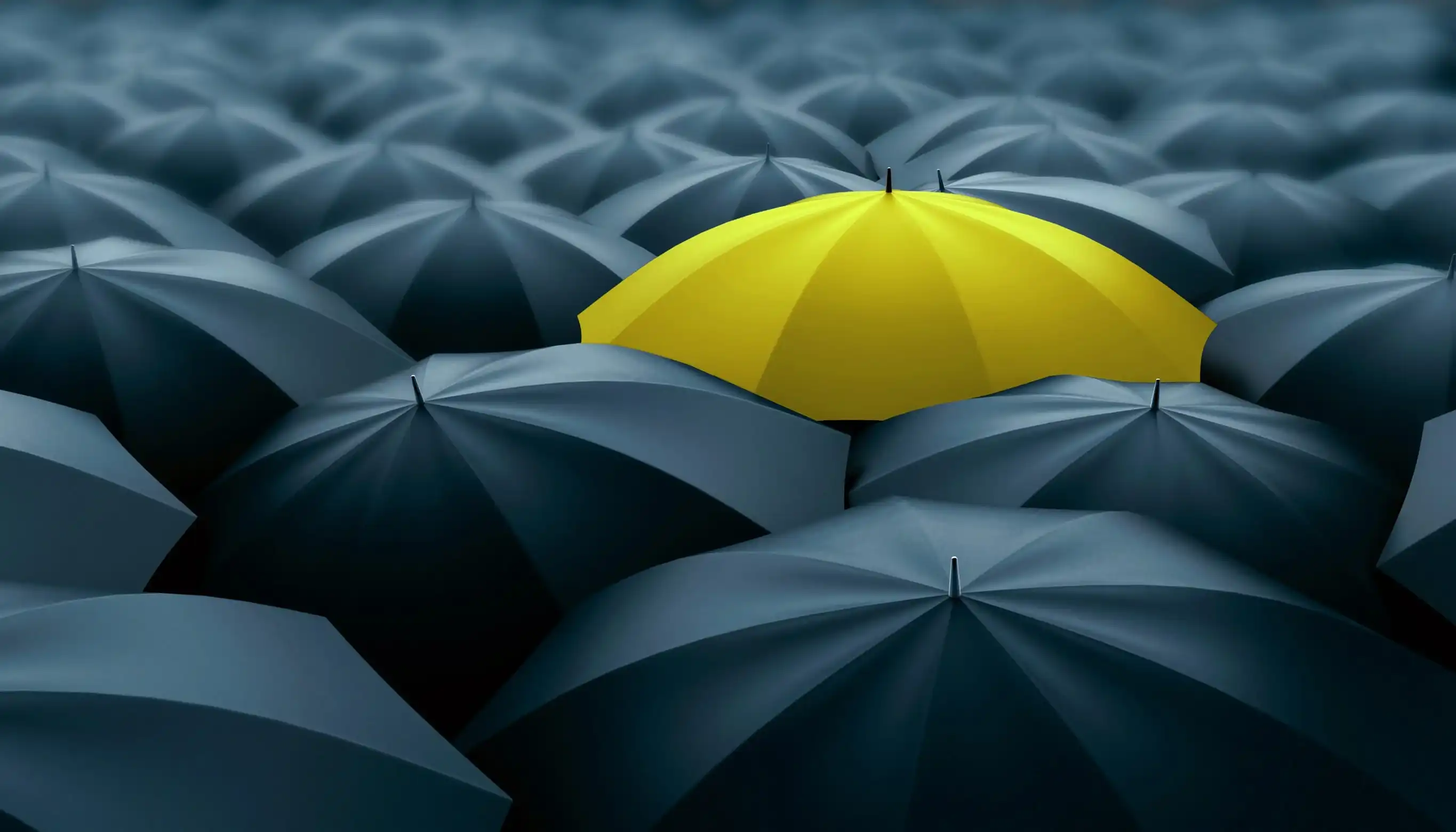 Olmez & Olmez Attorney Partnership Istanbul law firm